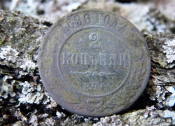 В Таловском районе поисковики нашли медную монету Российской империи