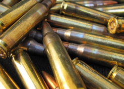 За неделю росгвардейцы Воронежской области изъяли 12 единиц оружия