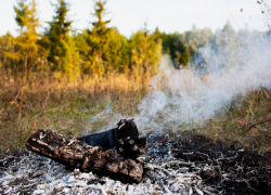 В 4 районах Воронежской области отмечается максимальный уровень пожарной опасности