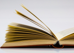 Жителям Воронежской области рассказали, какое слово стало главным в 2025 году