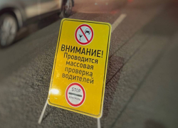 В Воронежской области пройдут массовые проверки на дорогах
