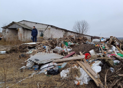 В 2024 году в Воронежской области ликвидировали 27 незаконных свалок