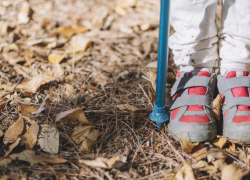 В Воронежской области назвали район, где чаще всего пропадают люди