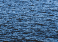 Число погибших на водоёмах Воронежской области выросло до восьми