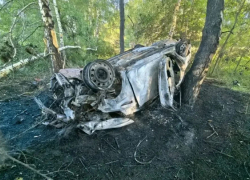 В Панинском районе 17-летний подросток сгорел в машине 