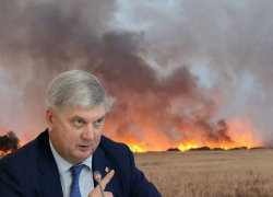 Губернаторский рейтинг Александра Гусева обрушился на фоне пожаров в Воронежской области