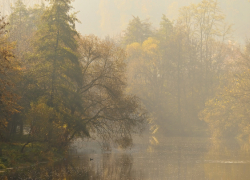 Воронежскую область вновь накроет туман