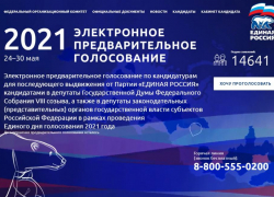 Предварительное голосование «Единой России» началось со сбоя в Воронежской области