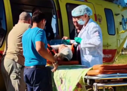 Стало известно состояние подростка, которого ударило током в Бобровском районе