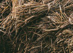 В Таловском посёлке в пожаре сгорели 2,5 тонны сена