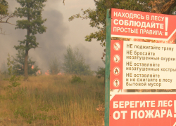 В 27 районах Воронежской области ввели высокий уровень пожарной опасности
