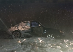 В Богучарском районе иномарка врезалась в дерево