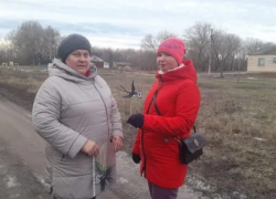 Жители Панинского района присоединились к патриотической акции «Блокадная ласточка»