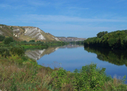 В Воронежской области актуализируют данные Красной книги