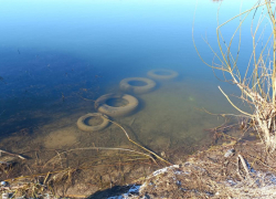 В Воронежской области Росприроднадзор проверил речные водоохранные зоны