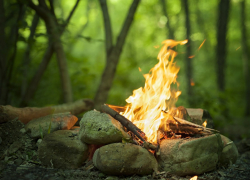 Воронежское МЧС будет искать разжигателей костров с помощью дронов