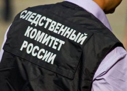 Экс-директор детдома ответит за избиение сирот в Панинском районе