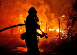 Крупный пожар уничтожил 18 построек и 2 транспортных средства в Аннинском районе