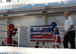 Бобровские боксеры завоевали 12 медалей на межрегиональном турнире