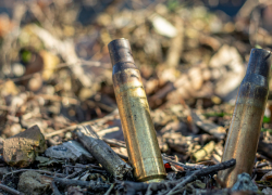 Житель Боброва нашёл на свалке карабин и хранил у себя дома 10 лет