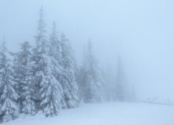 Синоптики рассказали, обрушится ли на Воронежскую область московский циклон