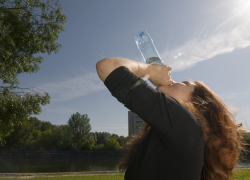 Стало известно, при какой окружающей температуре жители Воронежской области могут отказаться от работы