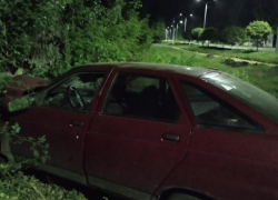 В Бобровском районе пьяная женщина врезалась в дерево