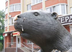 Жителей Бобровского района приглашают на батл поэтов и кинопоказ