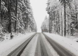 Жителей Воронежской области предупредили о потеплении с сильным снегопадом