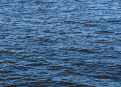 Двое мужчин погибли в водоёмах Воронежской области