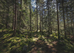 В Воронежской области завершился пожароопасный сезон