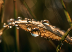 Синоптики дали прогноз на июль в Воронежской области