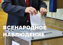 «Блокнот Анна» объявляет всенародное наблюдение на выборах