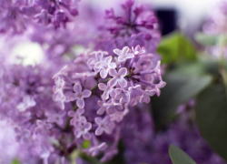 Синоптики рассказали, ждать ли в Воронежской области потепления