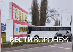 В Аннинском районе автобус врезался во въездную стелу