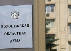 В Воронежской области в первый день проголосовали более 25%