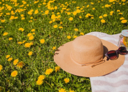 На последней неделе мая в Воронежскую область придёт летняя жара