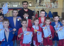 Таловские самбисты завоевали 13 медалей на областном турнире