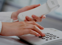 Воронежские ветераны СВО могут обратиться на горячую линию фонда «Защитники Отечества»