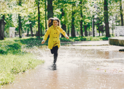 Жителей Воронежской области предупреждают о тумане, грозах и сильном ветре