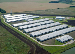 Жители Таловского района переживают из-за строительства животноводческого комплекса