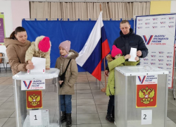 В Воронежской области общая явка на выборах составила более 75%