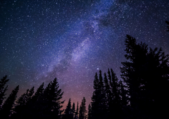 Жители Воронежской области смогут наблюдать яркий звездопад