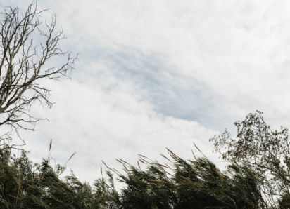 Предупреждение о штормовом ветре продлили в Воронежской области ещё на сутки