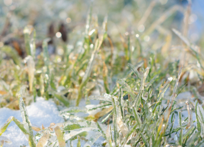 В Воронежской области потеплеет до +15 на новой неделе
