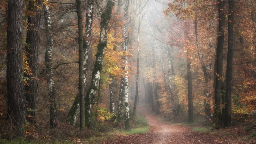 За неделю в Воронежской области пропали 7 детей