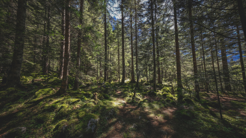 В Воронежской области завершился пожароопасный сезон