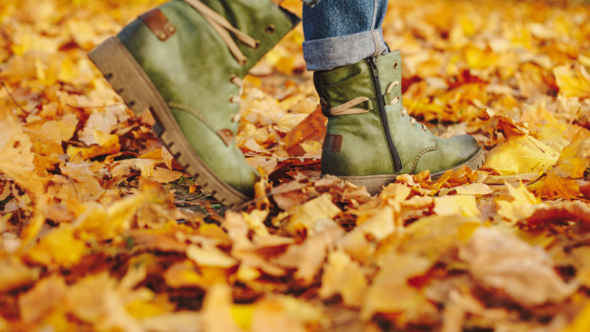 На портале «Госуслуги» жители Воронежской области смогут узнать о пропавших людях
