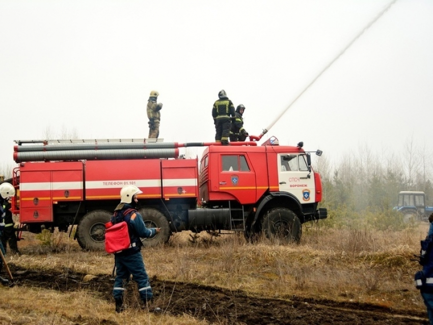 В Воронежской области могут запретить посещение лесов