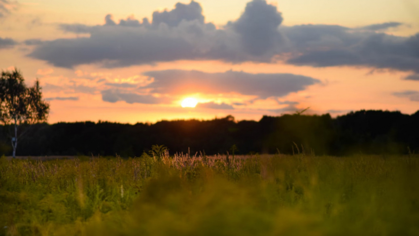 Синоптики сообщили о погоде в Воронежской области в августе